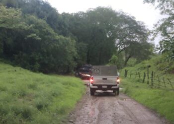 Vecina de Cosalá fue asesinada de un escopetazo por su pareja