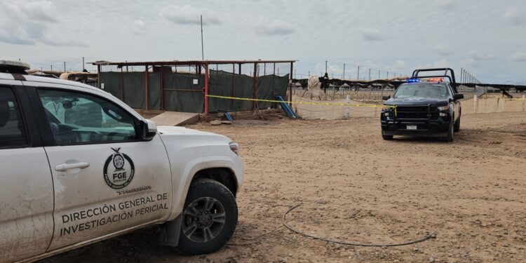 Localizan a un hombre no identificado sin vida y con las manos atadas en Navolato