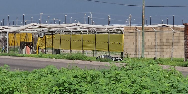 Localizan dos cuerpos envueltos en bolsas de plástico negros en Costa Rica