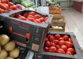 Gobierno de México propondrá aplazar un año el arancel al tomate: Rocha Moya