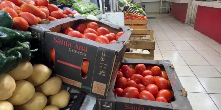 Gobierno de México propondrá aplazar un año el arancel al tomate: Rocha Moya