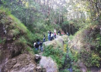 Durante las prácticas de campo, alumno de Biología de la UAS descubre nueva especie en Sinaloa; se trata del género Allacrotelsa