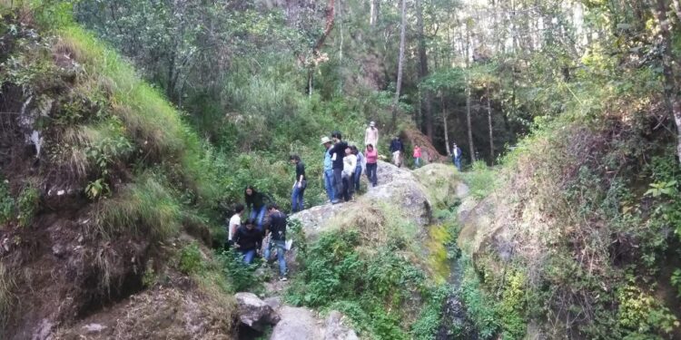 Durante las prácticas de campo, alumno de Biología de la UAS descubre nueva especie en Sinaloa; se trata del género Allacrotelsa