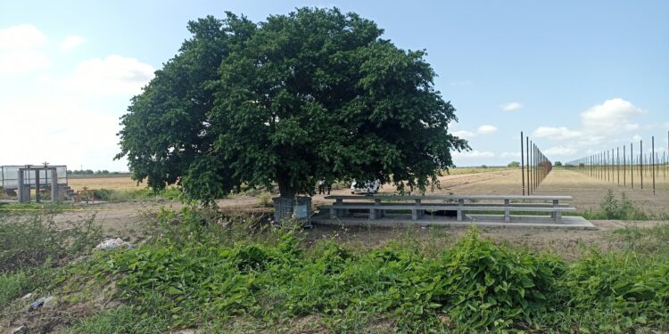 Hallan asesinado a balazos a un hombre en La Michoacana