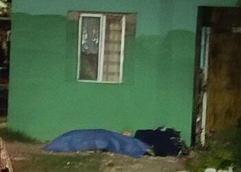 Asesinan a balazos a una joven mujer en Chula Vista