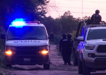 Matan a balazos a un hombre en una siembra de frijol en San Pedro, Navolato