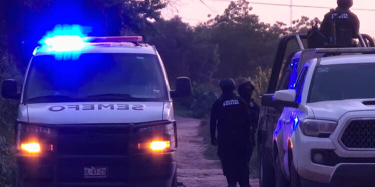 Matan a balazos a un hombre en una siembra de frijol en San Pedro, Navolato