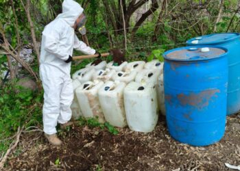 Aseguran y destruye 2 áreas de concentración de material para la elaboración de drogas en Cosalá