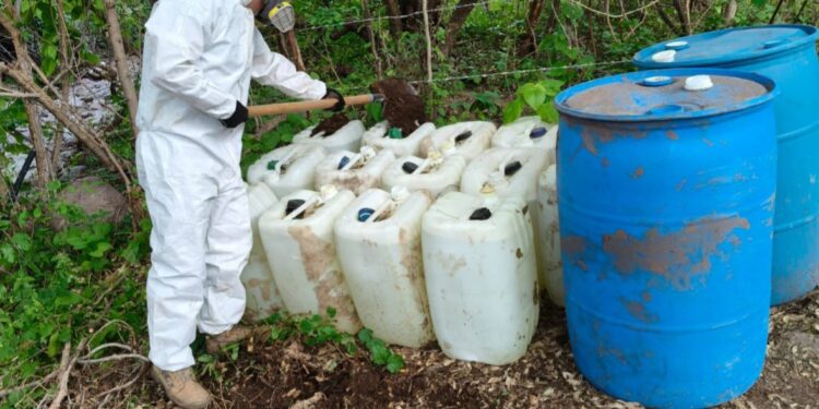 Aseguran y destruye 2 áreas de concentración de material para la elaboración de drogas en Cosalá