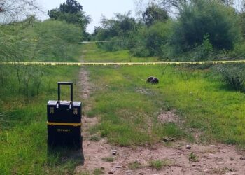 Muere vecino de Eldorado atacado por un cocodrilo en el ejido La Flor