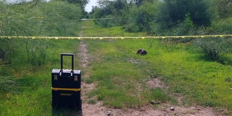 Muere vecino de Eldorado atacado por un cocodrilo en el ejido La Flor