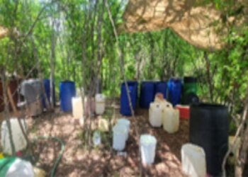 Aseguran y destruye 1 laboratorio y 1 área de concentración de sustancias para la elaboración de drogas en Culiacán y Cosalá