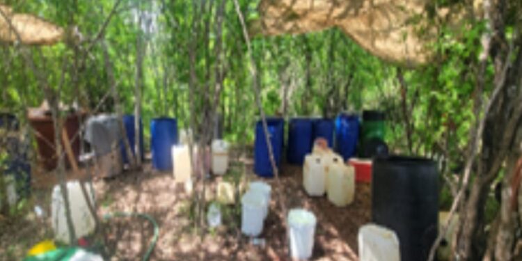 Aseguran y destruye 1 laboratorio y 1 área de concentración de sustancias para la elaboración de drogas en Culiacán y Cosalá