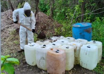 En Culiacán y Cosalá aseguran y destruye 2 áreas de concentración de material para la elaboración de drogas