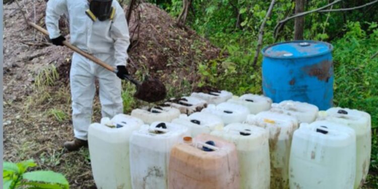 En Culiacán y Cosalá aseguran y destruye 2 áreas de concentración de material para la elaboración de drogas