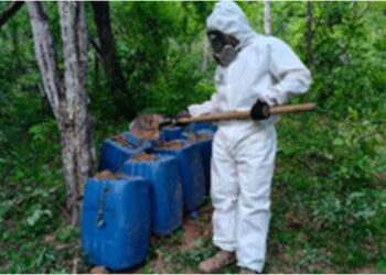 Grupo Interinstitucional asegura y destruye 3 áreas de concentración de material para la elaboración de drogas en Culiacán y Cosalá