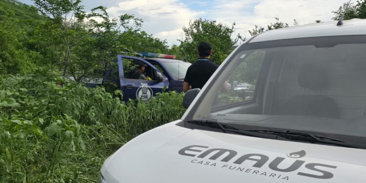 Hallan asesinado en la zona serrana de Tepuche a joven de la Renato Vega Alvarado