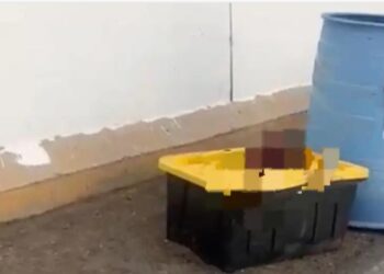 Abandonan a tres decapitados en el puente de San Blas, Navolato