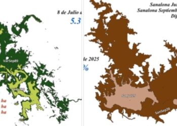 Aún es prematuro hablar de recuperación de las presas en Sinaloa, pues su nivel de captación sigue siendo crítico, señala especialista