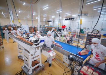 CEPROFIES han impulsado la creación de más de 30 mil empleos en Sinaloa