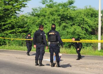 Abandonan una hielera con restos humanos en “La Y griega”