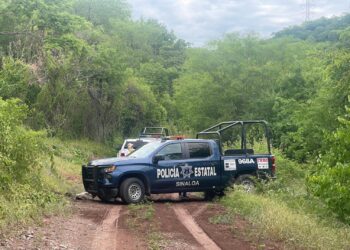 Un cuerpo con un balazo en el cráneo, fue localizado por el colectivo de búsquedas sabuesos guerreras en Costa Rica
