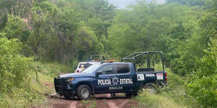 Un cuerpo con un balazo en el cráneo, fue localizado por el colectivo de búsquedas sabuesos guerreras en Costa Rica
