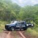 Un cuerpo con un balazo en el cráneo, fue localizado por el colectivo de búsquedas sabuesos guerreras en Costa Rica