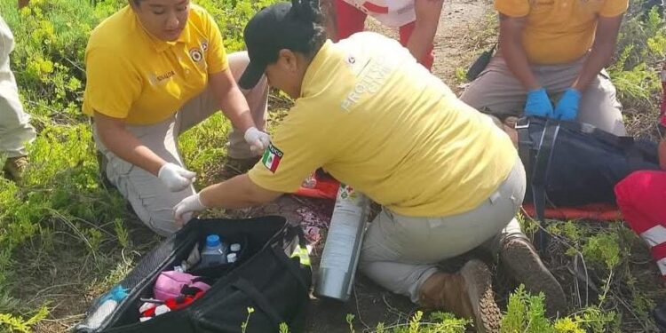 Muere un joven tras accidente sobre la carretera Navolato-Altata