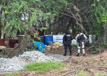 En Mocorito, aseguran y destruyen un área de concentración de sustancias para la elaboración de drogas