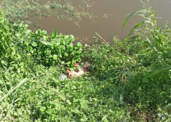 Hallan asesinado a un hombre en Costa Rica