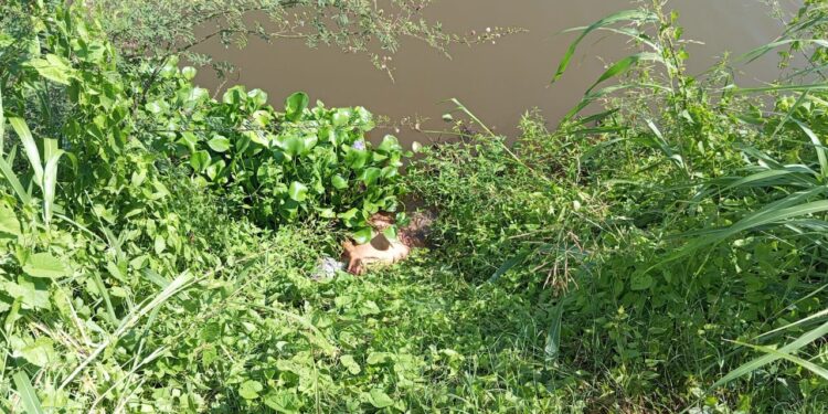 Hallan asesinado a un hombre en Costa Rica