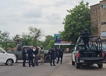 Hallan un cuerpo desmembrado en una hielera en La Campiña