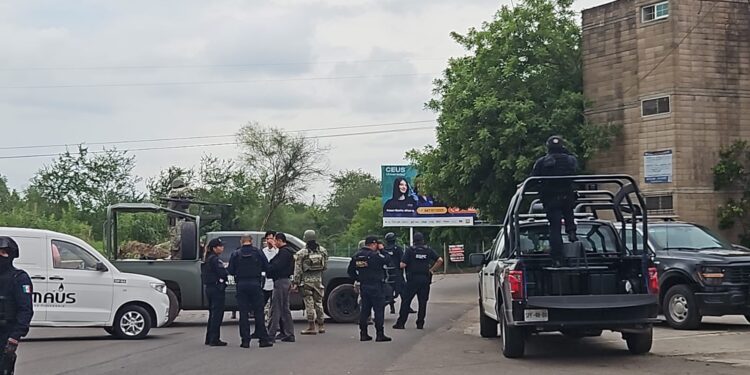 Hallan un cuerpo desmembrado en una hielera en La Campiña