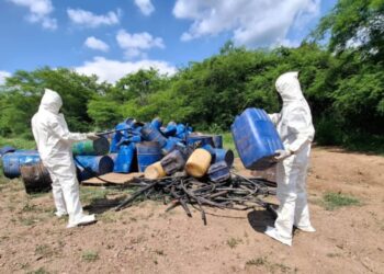 En Culiacán y Cosalá, aseguran y destruyen 7 áreas de concentración de materiales químicos y un plantío de marihuana