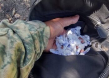 En Eldorado, Grupo Interinstitucional asegura cartuchos y dosis de presunta droga