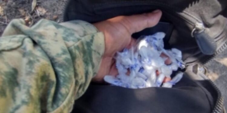 En Eldorado, Grupo Interinstitucional asegura cartuchos y dosis de presunta droga