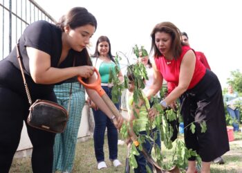 La Facultad de Ciencias de la Educación promueve la sostenibilidad ambiental a través de “Jardines sustentables UAS para tu bienestar”