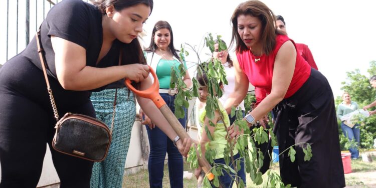 La Facultad de Ciencias de la Educación promueve la sostenibilidad ambiental a través de “Jardines sustentables UAS para tu bienestar”