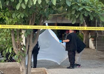 Cinco homicidios, 11 vehículos robados y 5 levantados se registraron ayer en Sinaloa