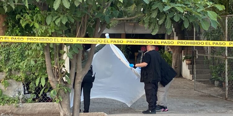Cinco homicidios, 11 vehículos robados y 5 levantados se registraron ayer en Sinaloa