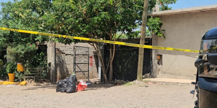 Asesinan a dos hombres y una mujer en la colonia Felipe Ángeles