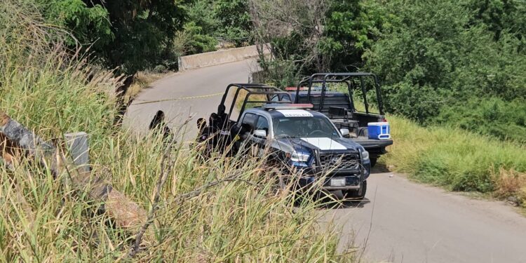 Hallan a un adulto mayor sin vida a un costado de la autopista Benito Juárez en Navolato