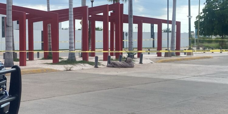 Abandonan a un hombre asesinado y enconbijado en Portalegre