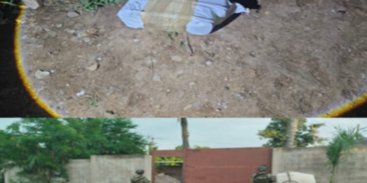 Aseguran inmueble y droga en la sindicatura de Quilá, en Culiacán