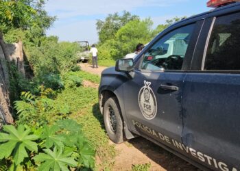 Hallan a joven de Terranova asesinado a balazos en Bachigualato