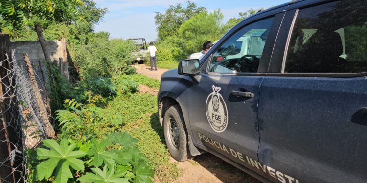 Hallan a joven de Terranova asesinado a balazos en Bachigualato