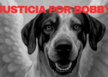 Que sea un proceso apegado a la Ley: Feliciano Castro sobre primera audiencia del caso “Bobby”, can asesinado a machetazos