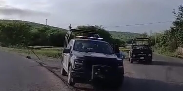 Abandonan hielera con restos humanos en Palos Blancos; junto a ella, un mensaje