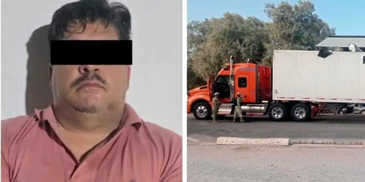 Detienen a trailero con más de mil 200 paquetes de cocaína en Sonora